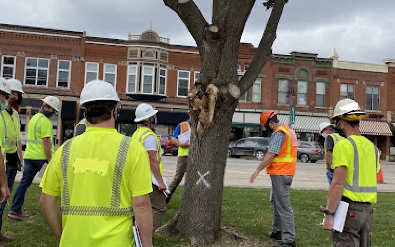Olson Tree Care — Tree service in Des Moines