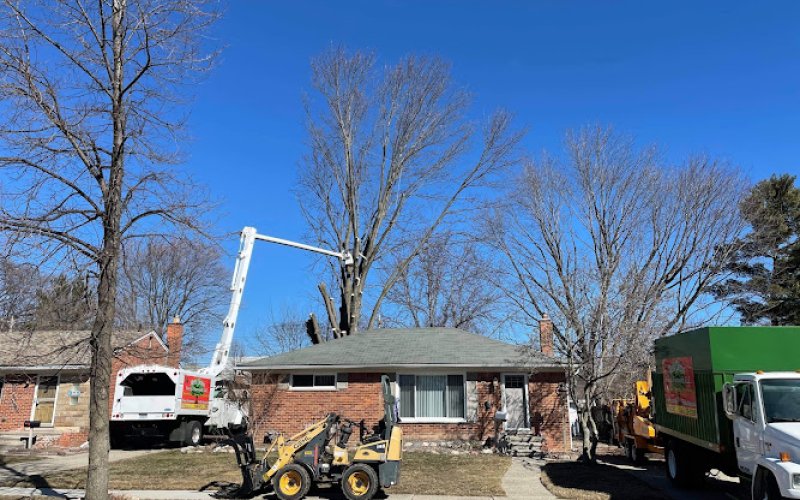 Metro Detroit Tree & Firewood