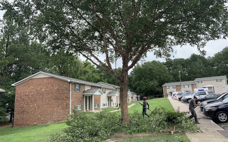 E&C Tree Service