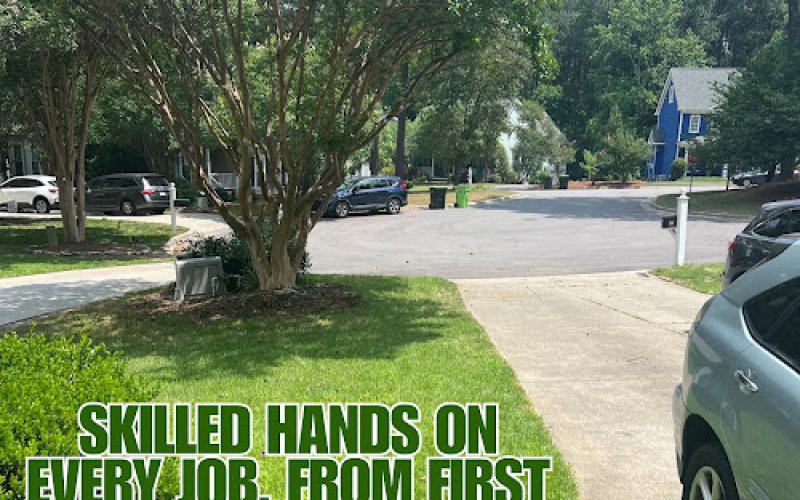 Green Leaves Tree Care Inc