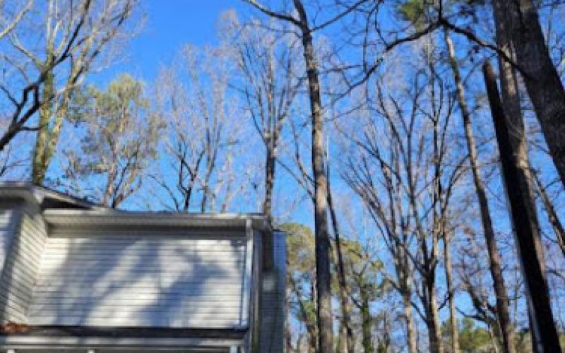 Jerrys Tree & Stump Service