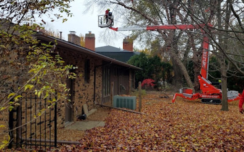 Triple Tree Care LLC