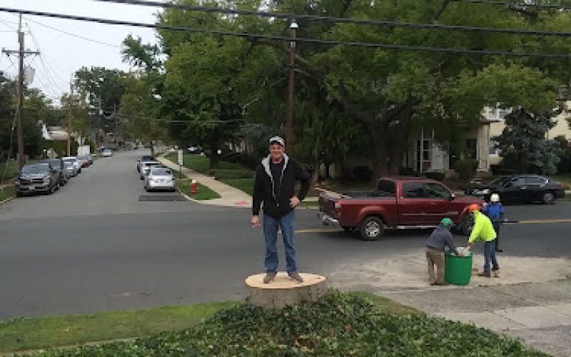 Royal Tree Service — Tree service in Elizabeth