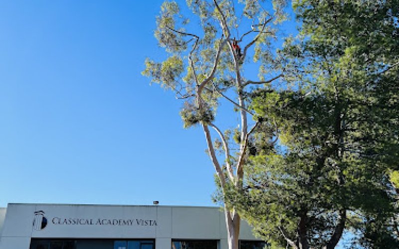 La Costa Tree Service & Maintenance Inc. — Tree service in Escondido