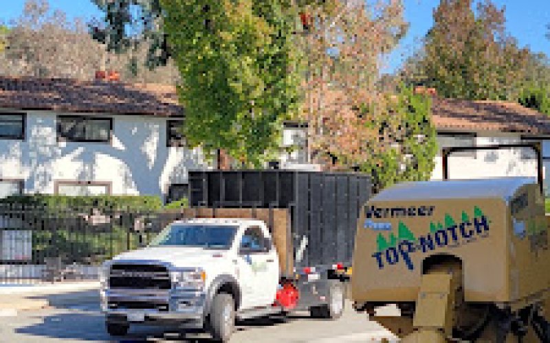 Top Notch Tree Care, Inc. — Tree service in Escondido
