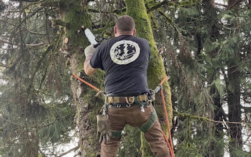Advanced Tree Care LLC