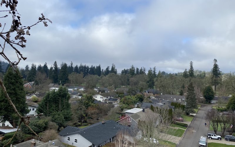 Artistic Arborist LLC
