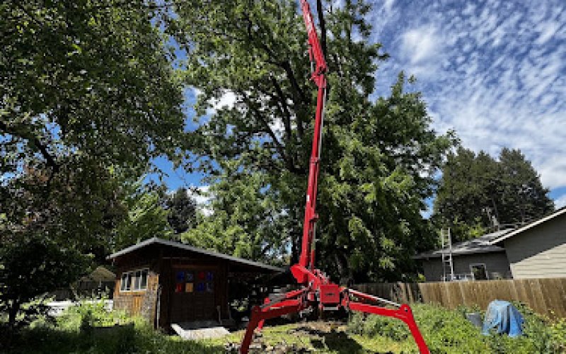 Eugene Tree Service, Tree Removal & Arborists