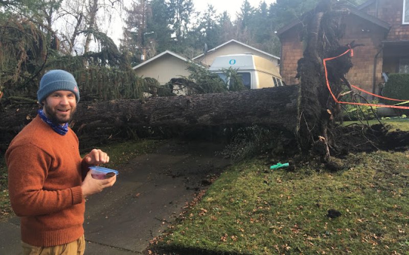 GreenTree Arborists, LLC