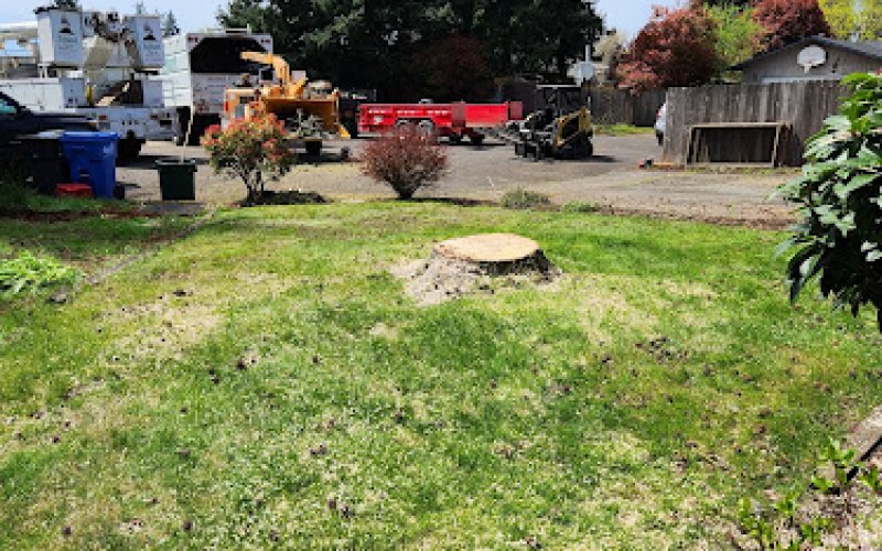 Highland Tree Service, LLC