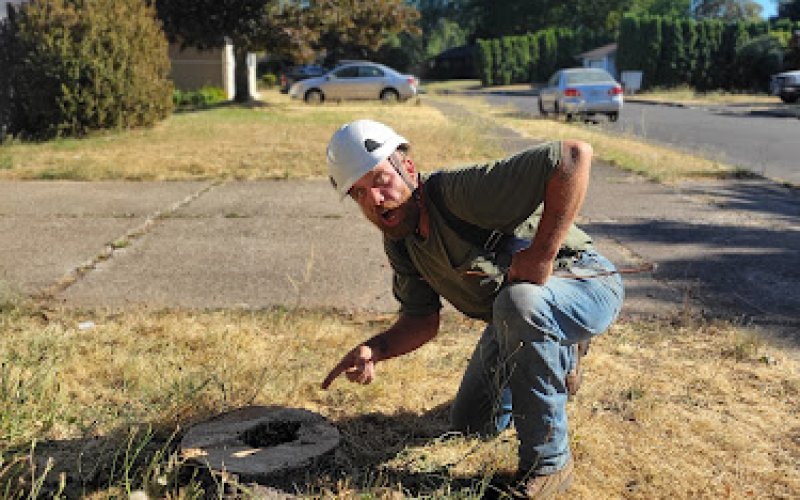 Shaeffer Tree Solutions LLC