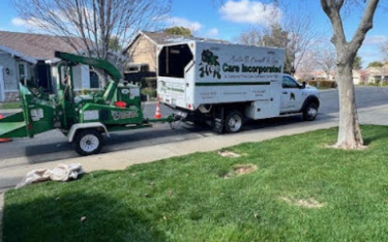 Tree Care Incorporated