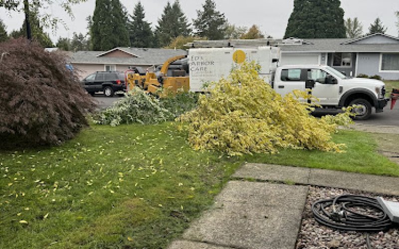 Ed's Arbor Care LLC