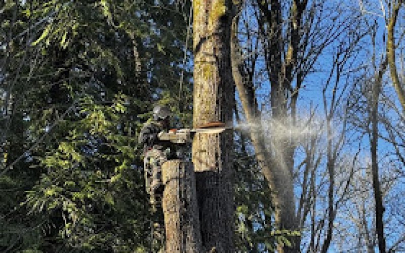 RACS Tree Service