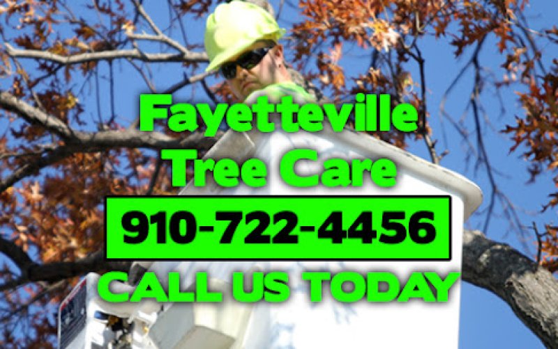 Fayetteville Tree Care Services