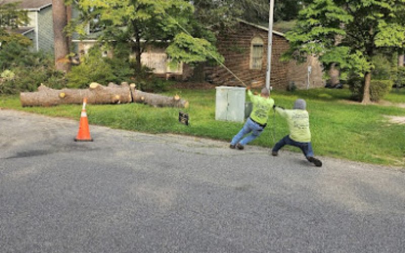 Tarhill Tree Service Fayetteville