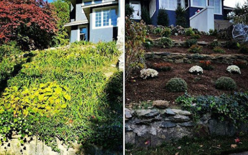 Tigre Tree Care and Landscaping Inc.