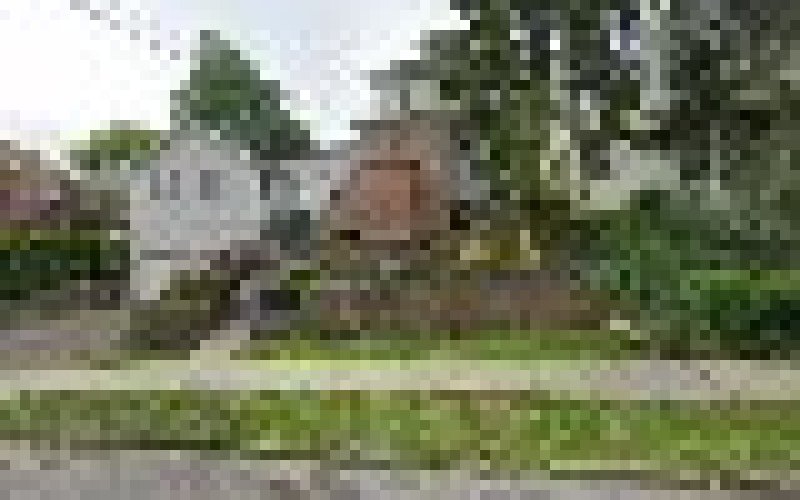 Woodlawn Tree and Landscape