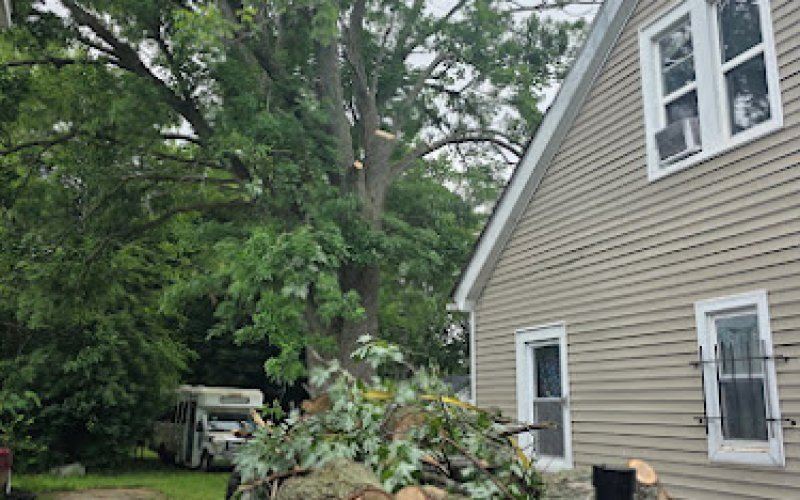 AVAUGHNS TREE SERVICE LLC
