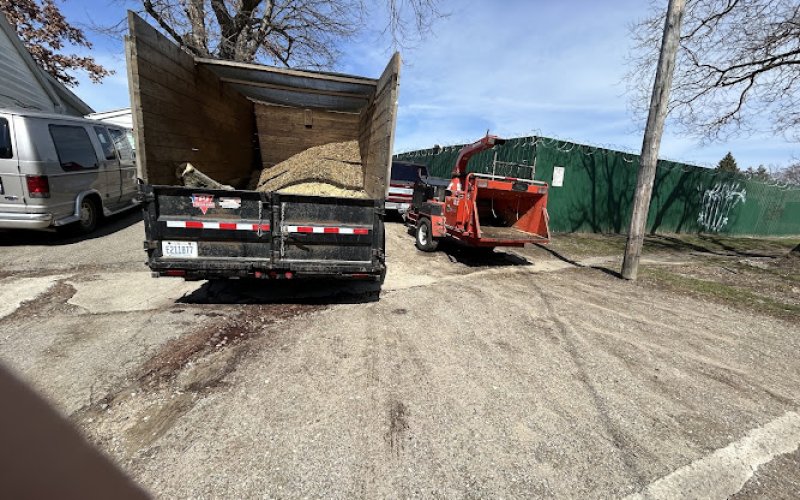 Eds Tree Service