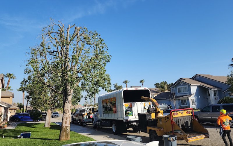 FR Tree Service