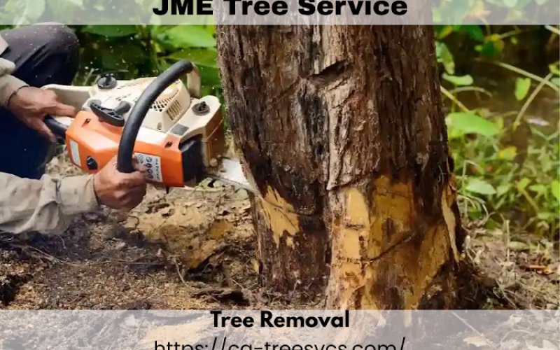JME Tree Service