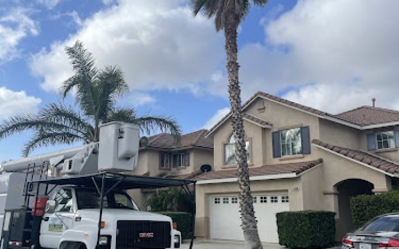 True Star Tree Service Fontana