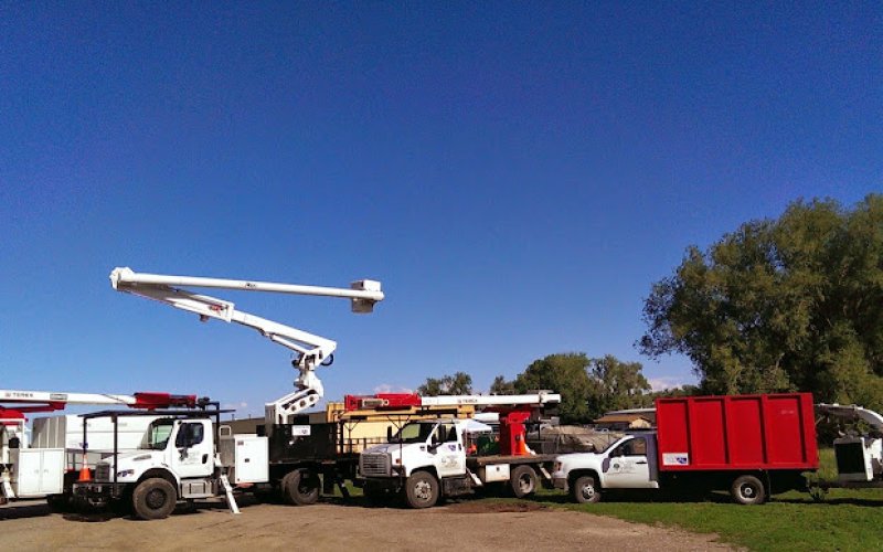 Foothills Tree Experts — Tree service in Fort Collins