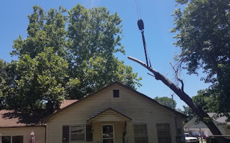 Brad's Tree Care