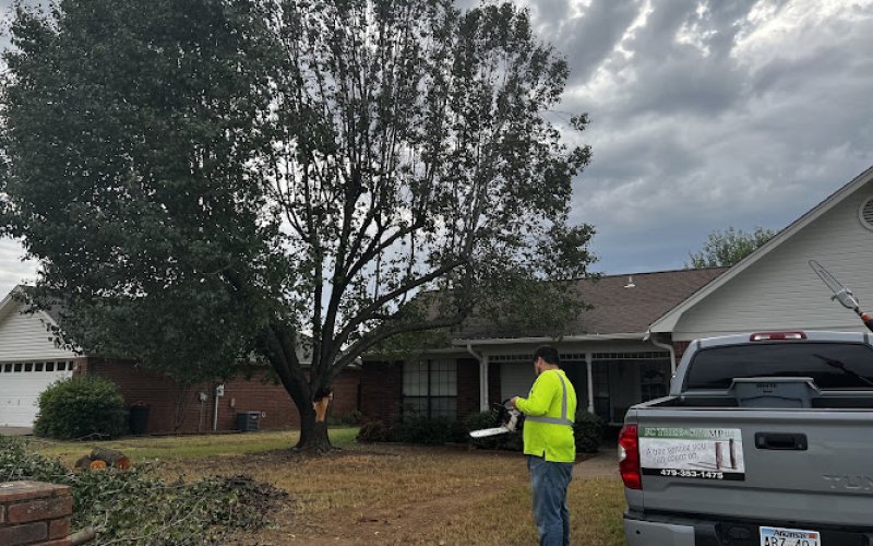 JC tree & stump LLC