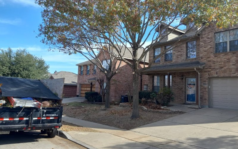 Alvarez Tree Service — Tree service in Fort Worth