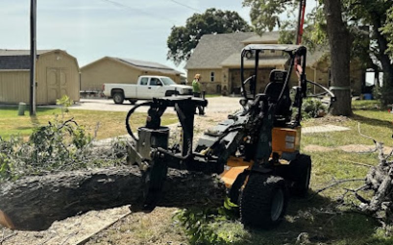 Integrity Tree Care — Tree service in Fort Worth