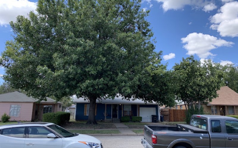 Trinity Forest Tree Care Service — Tree service in Fort Worth