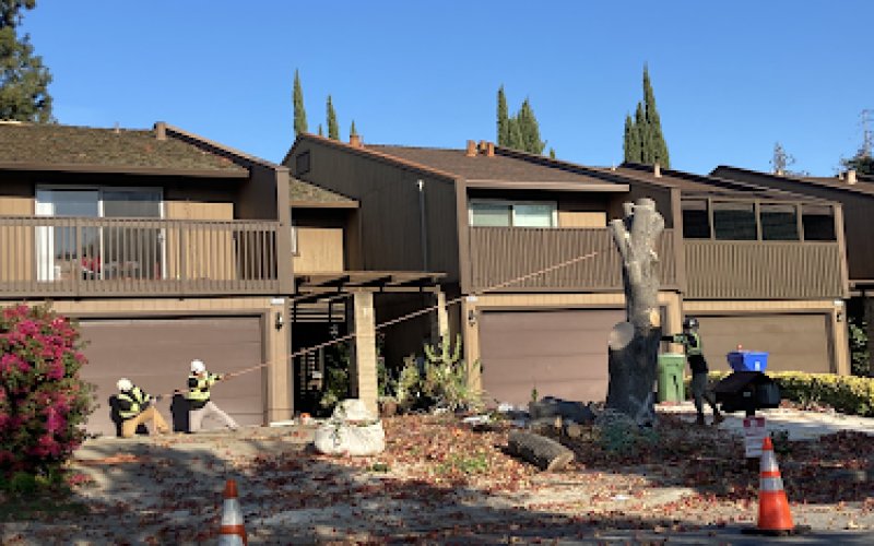 Fremont Tree Service