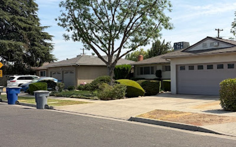 Mendez Brothers Tree Service
