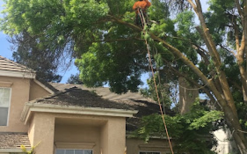 Trinity Tree Service