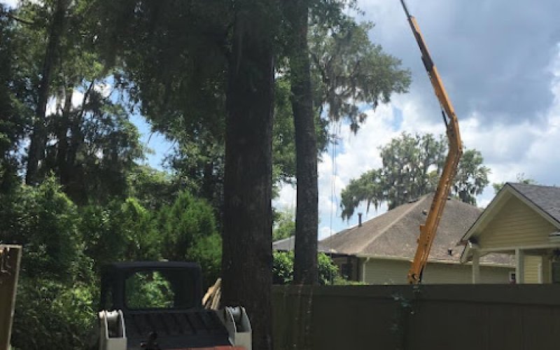 A1 Sales & Services Inc. (A-1 Tree Services)