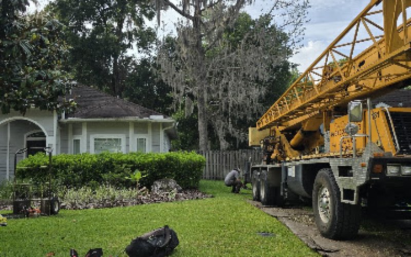 Shade Shifters Tree Service