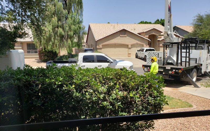Tree Doctors, Inc