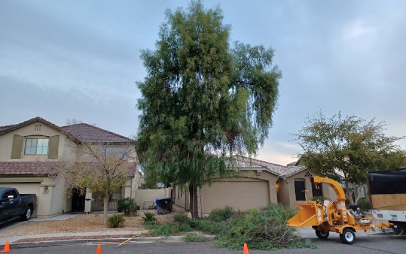 Arborzona Tree Service