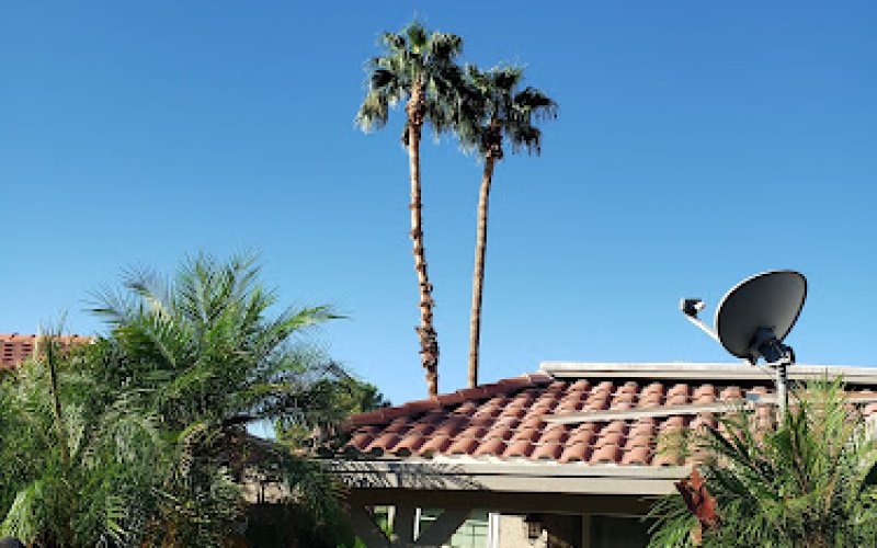 Premium Tree Care LLC