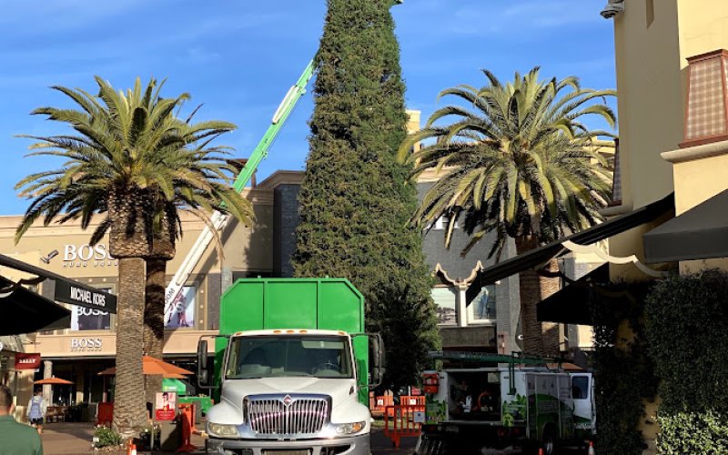 California Green Tree Care Inc.