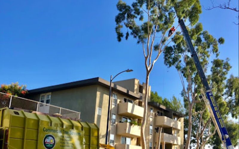COMMERCIAL TREE SERVICES INC.