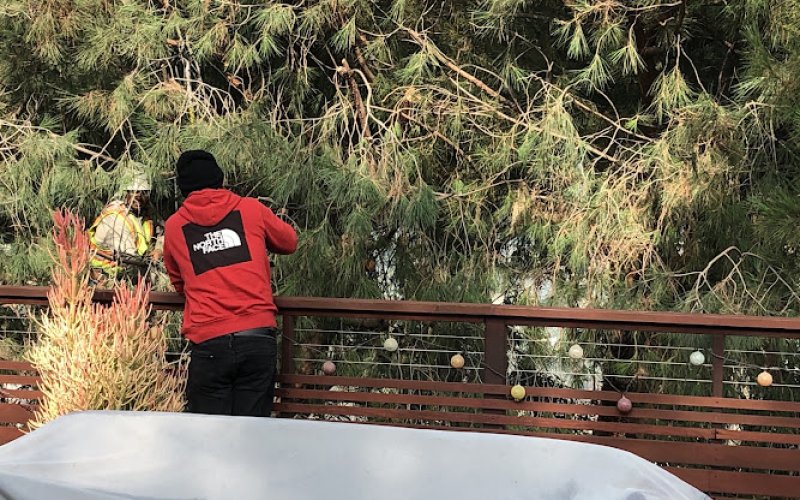 Elite Tree Care Inc., DBA TONY MACIAS