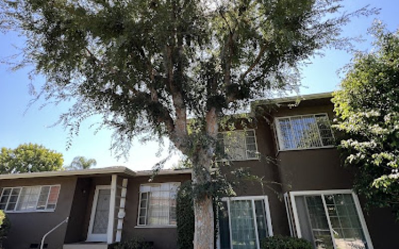 LA Arbor Care