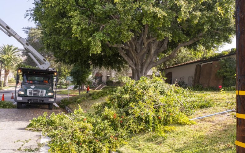 Pacific West Tree Care Inc.