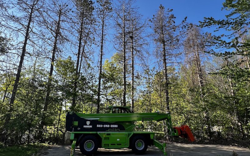 Arborcare Tree Service — Tree service in Goffstown