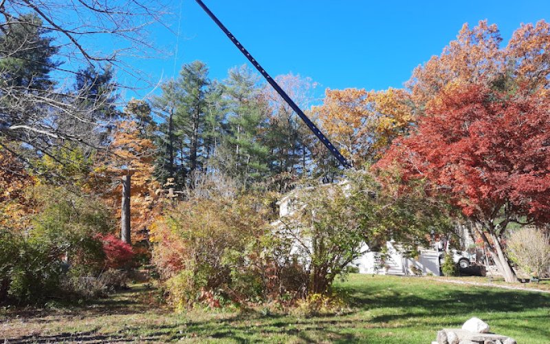 Kucharski Tree Care Professionals — Tree service in Goffstown