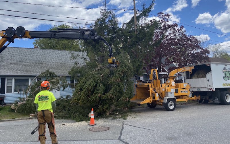 Todds Tree Service — Tree service in Goffstown