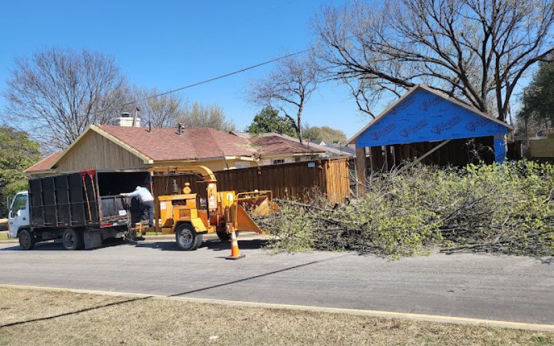 Bladi's Tree Service — Tree service in Grand Prairie